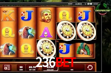 Descubra a Essência do 236BET: Nossa História e Compromissos