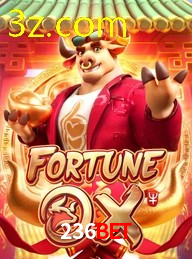 236BET.COM